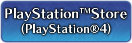 PlayStation™Store(PS4)